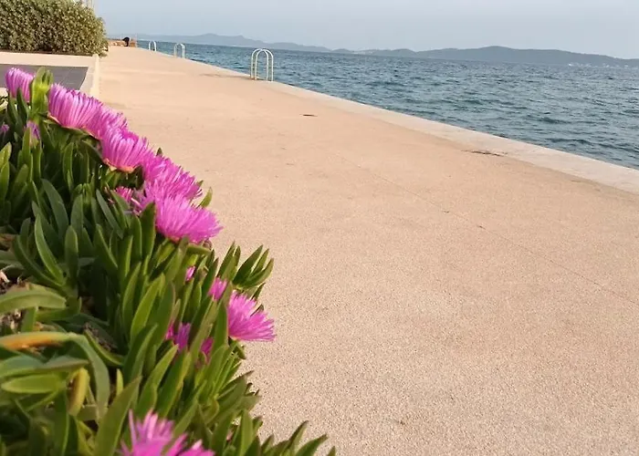 Sandra -private Parking And Garden Zadar