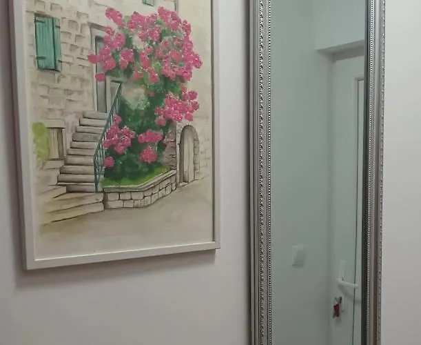 公寓 Sandra - Free Private Parking And Garden 扎达尔