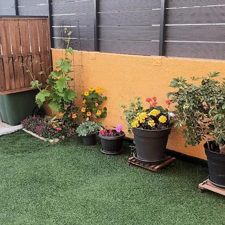 Sandra - Free Private Parking And Garden *
