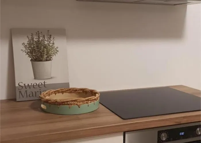 Apartament Sandra - Free Private Parking And Garden